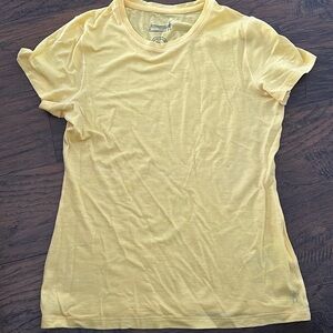 Smartwool merino tee